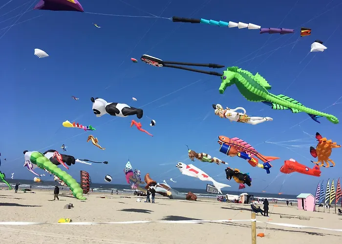 Appartement Plain-pied Avec Terrasse à 5 Minutes De Berck Verton